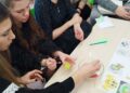 Мастер-класс - это самая хорошая возможность получить знания и опыт из первых рук.